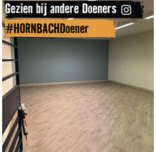 Heller Raum mit Laminatboden und farblich abgesetzter Wand