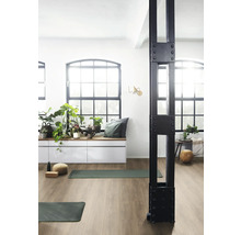 Heller Raum mit Gymnastikmatten, Fensterfront, Pflanzen und einem dekorativen Träger