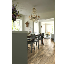 Esszimmer mit Holzboden, Esstisch, Stühlen und Kristalllüster