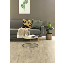 Wohnzimmer mit Sofa, Couchtisch und Zimmerpflanze