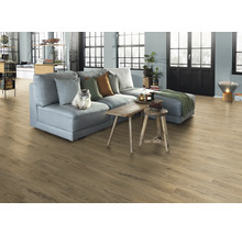 Wohnzimmer mit grauer Couch, Holzboden und Katze