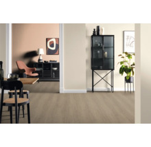 Wohnraum mit Bodenbelag, Esstisch und Schrank