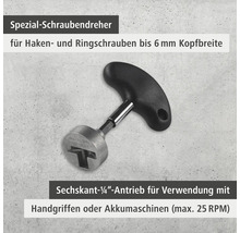 Spezialschraubendreher für Haken- und Ringschrauben bis 6 mm Kopfbreite mit Sechskant-Viertel-Zoll-Antrieb
