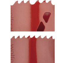 Detailansicht einer Lochsäge mit gezahntem Rand und Aussparungen.