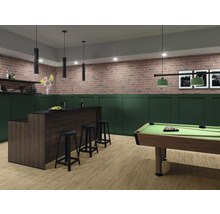 Ein Hobbyraum mit hellem Bodenbelag in Holzoptik, einem Billardtisch, einer Bar mit Hockern, grünen Wandpaneelen und einer Ziegelwand.