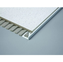 Detailansicht einer Deckenplatte mit Profilschiene und Unterkonstruktion