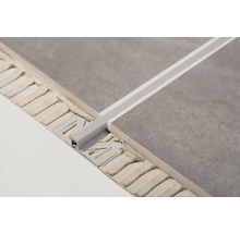 Fliesen mit Fliesenschiene