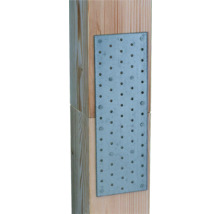 Holzkonstruktion mit gelochter Metallplatte und Schrauben zur Befestigung