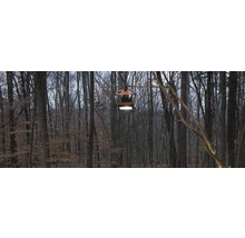 Eine Baustrahler-Arbeitsleuchte hängt an einem Ast im Wald und spendet Licht.