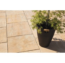 Verlegte Gartenplatten mit Pflanze im Topf