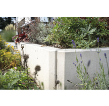 Hochbeet aus Beton mit Bepflanzung im Garten.