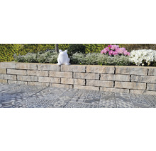 Gartenlandschaft mit Steinmauer, dekorativen Fliesen und Pflanzschmuck