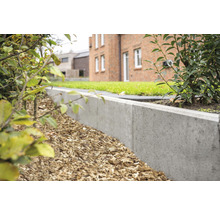 Gartenszene mit Rasenfläche, Haus und einer Betonrasenkante