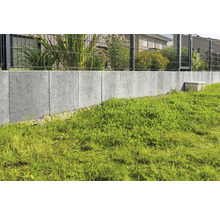 Betonmauer mit Metallzaun im Garten