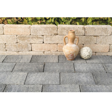 Garten mit Pflastersteinen, Mauer und Dekoration