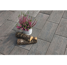 Verlegung von Pflastersteinen mit Holzstruktur, dekoriert mit einer Topfpflanze und Holzstücken