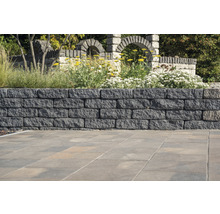 Eine Steinmauer mit Pflanzen und Steinbögen im Hintergrund