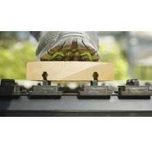 Verlegen von Terrassendielen mit einem Fuß auf einer Terrassendiele, die auf Trägern montiert ist