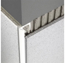 Deckenansicht mit Deckenplatten und Profilschiene