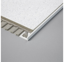 Deckenplatte mit Abschlussprofil für den Innenausbau