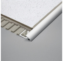 Profilschiene für Deckenplattenmontage.