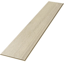 Einzelne Laminatdiele