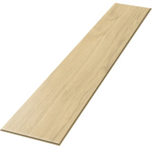 Einzelne Laminatdiele