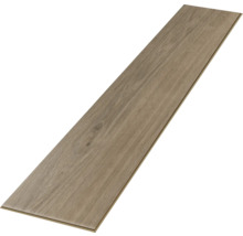 Einzelne Laminatdiele mit Holzstruktur