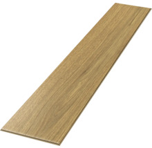 Einzelne Laminatdiele