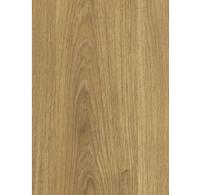 Holzstruktur Nahaufnahme