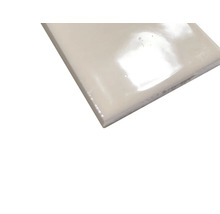 Einzelne, rechteckige Wandfliese