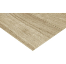 Nahaufnahme einer Laminatdiele mit Holzstruktur