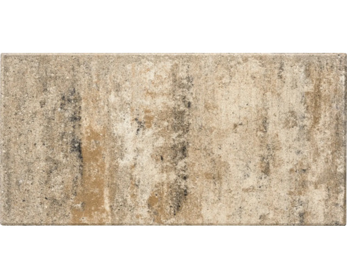 Beton Terrassenplatte iStone Pure muschelkalk 80 cm x 40 cm x 4 cm