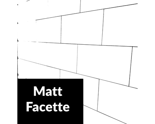 Metrofliese mit Facette weiß matt 10 x 20 cm
