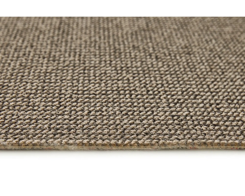 Teppichboden Schlinge Tulsa beige FB34 500 cm breit (Meterware)