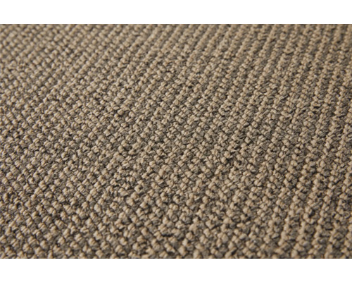 Teppichboden Schlinge Tulsa beige FB34 500 cm breit (Meterware)
