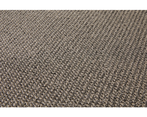 Teppichboden Schlinge Tulsa schlamm FB49 500 cm breit (Meterware)