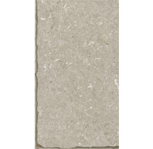 Fliese mit Steindekor für den Innen- und Außenbereich