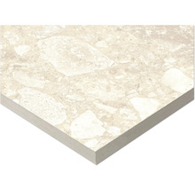 Detailansicht einer beigefarbenen Bodenfliese mit Steinmuster