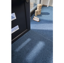 Blauer Teppich im Eingangsbereich mit Schuhen und Dekoration