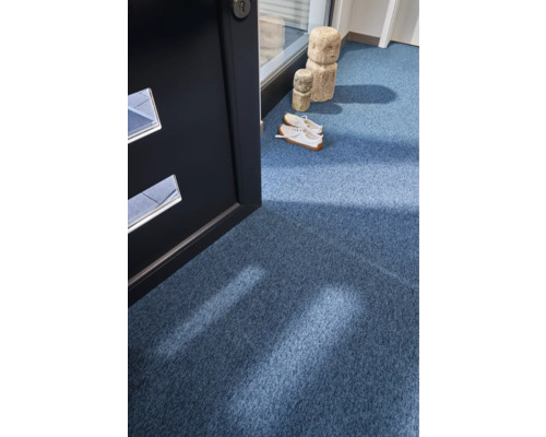 Blauer Teppich im Eingangsbereich mit Schuhen und Dekoration