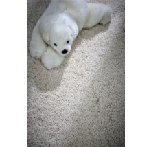 Detailaufnahme eines Teppichs mit einem Stofftier in Form eines Eisbären