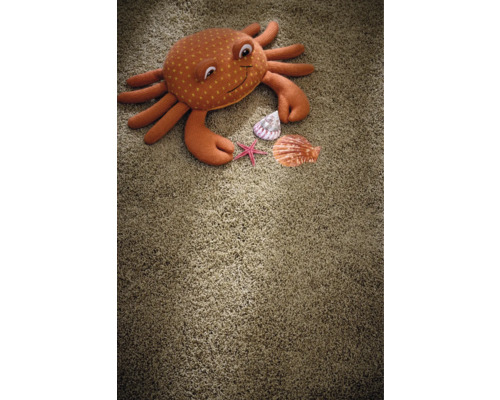 Hochflor Teppich mit Stofftier Krabbe, Seestern und Muscheln