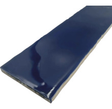 Einzelne, glänzende, längliche Fliese