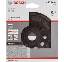 Bosch Schleiftopf Durchmesser 125 Millimeter