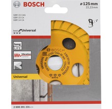 Bosch Schleiftopf Durchmesser 125 Millimeter