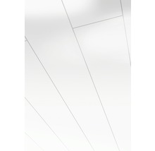 Helle Deckenverkleidung mit Paneelen