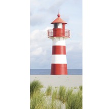 Leuchtturm auf einer Düne mit Bewuchs