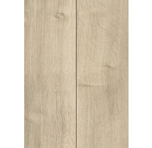 Nahaufnahme von zwei Paneelen hellem Laminatboden mit Holzmaserung