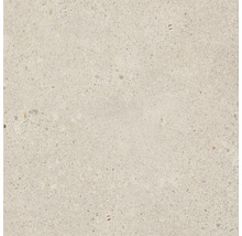 Nahaufnahme einer Bodenfliese mit Terrazzo Optik.